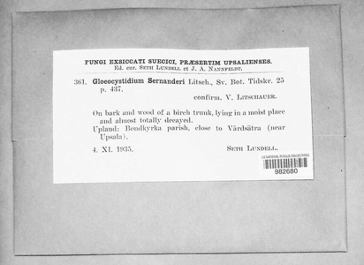 Sistotrema sernanderi image